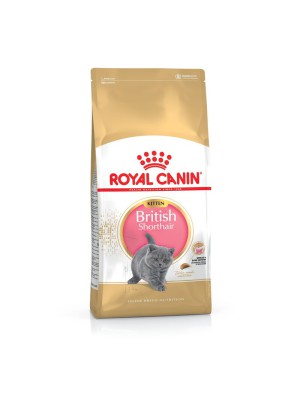 Royal Canin British Shorthair Kitten 10 кг сухой корм для котят породы Британец