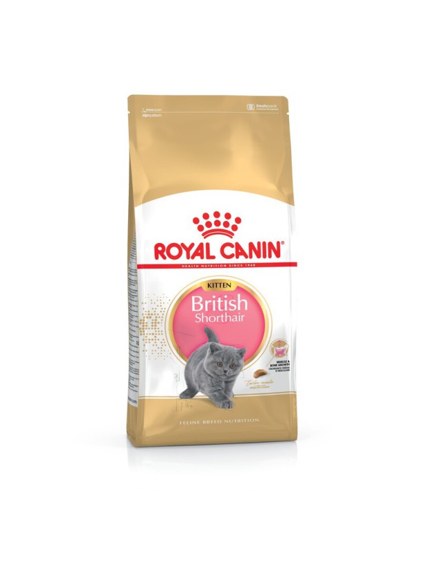 Royal Canin British Shorthair Kitten 400 г сухий корм для кошенят породи Британець