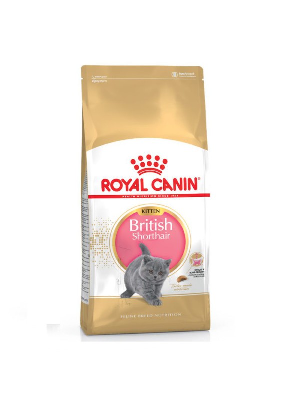 Royal Canin British Shorthair Kitten 2 кг сухий корм для кошенят породи Британець