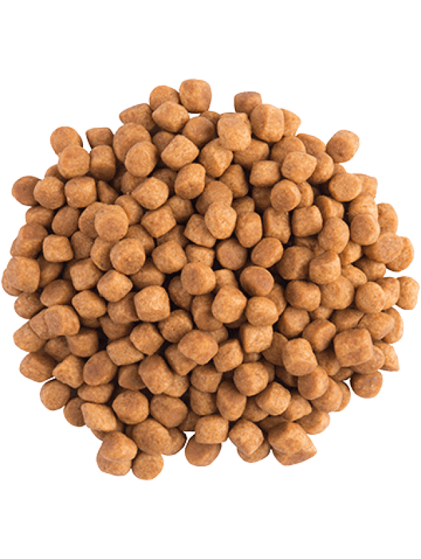Purina Veterinary Diets Cat EN Gastrointestinal Feline 400 г для котів при порушенні травлення