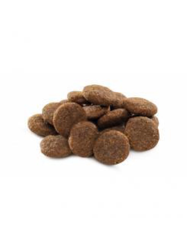 Brit Premium Large L сухой корм для собак крупных пород с курицей 15 кг