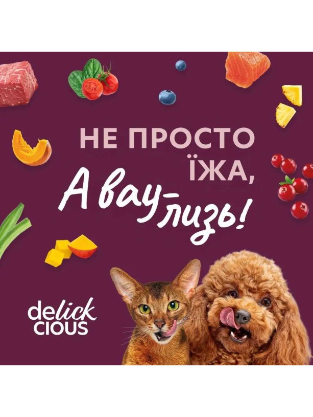 Delickcious (Делішес) 85 г вологий корм зі смаком борщу з яловичиною для котів і собак