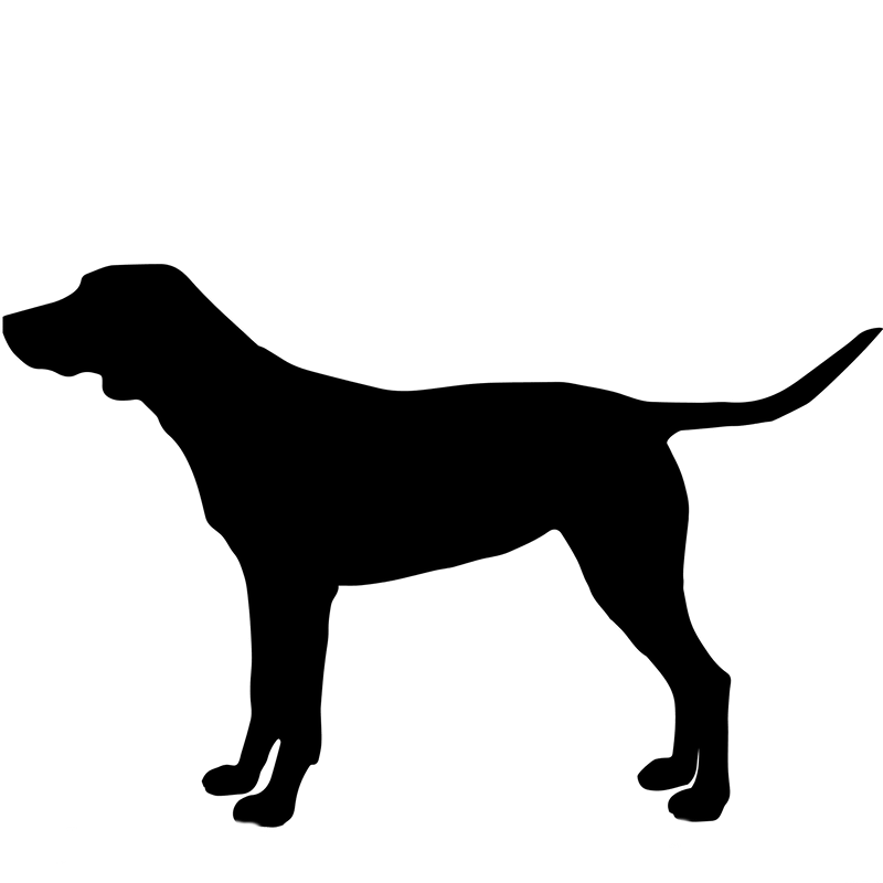 Собаки