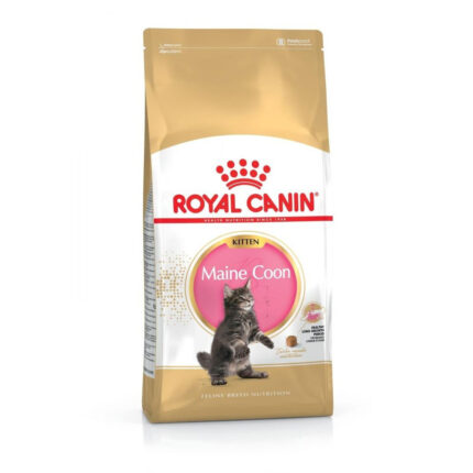 2241917713 royal canin maine.jpg