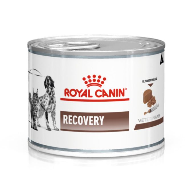Royal Canin Recovery 12х195 г влажный корм в восстановительный период для собак и кошек