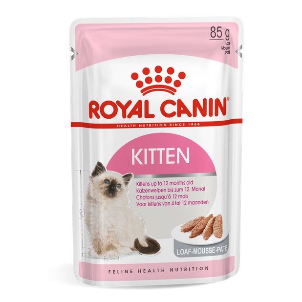 royal canin kitten