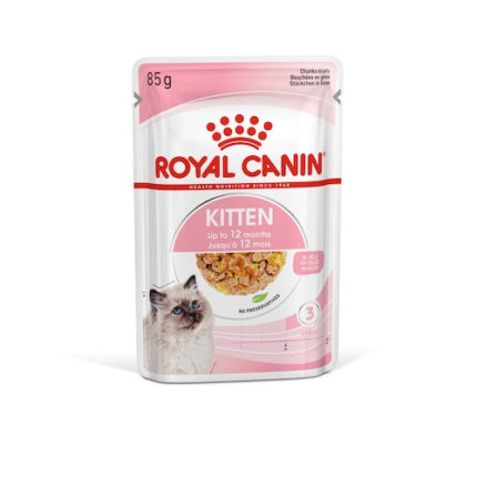 3952181278 royal canin kitten.jpg