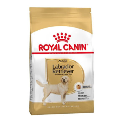 4169247178 royal canin labrador.jpg