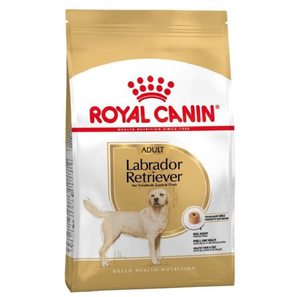4169247178 royal canin labrador.jpg