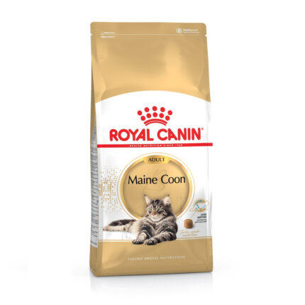 4294277033 royal canin maine.jpg