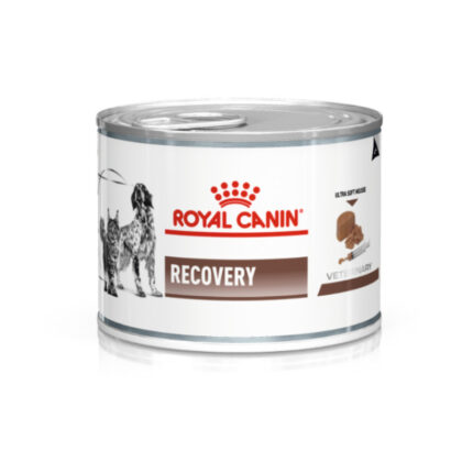 4740223686 royal canin recovery.jpg