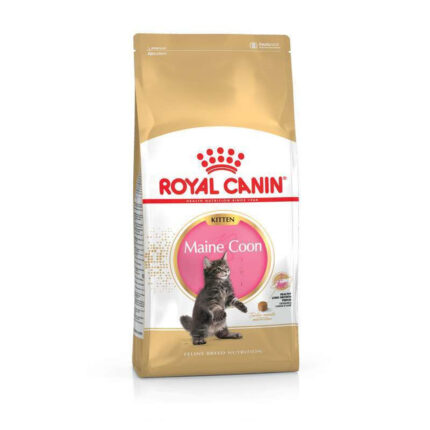 4762405575 royal canin maine.jpg