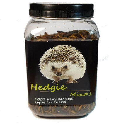 5236264819 busya hedgie mix.jpg