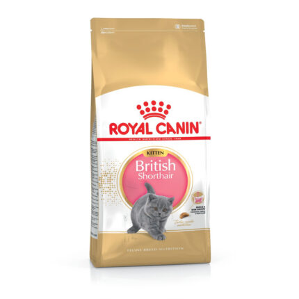 4813830909 royal canin british.jpg