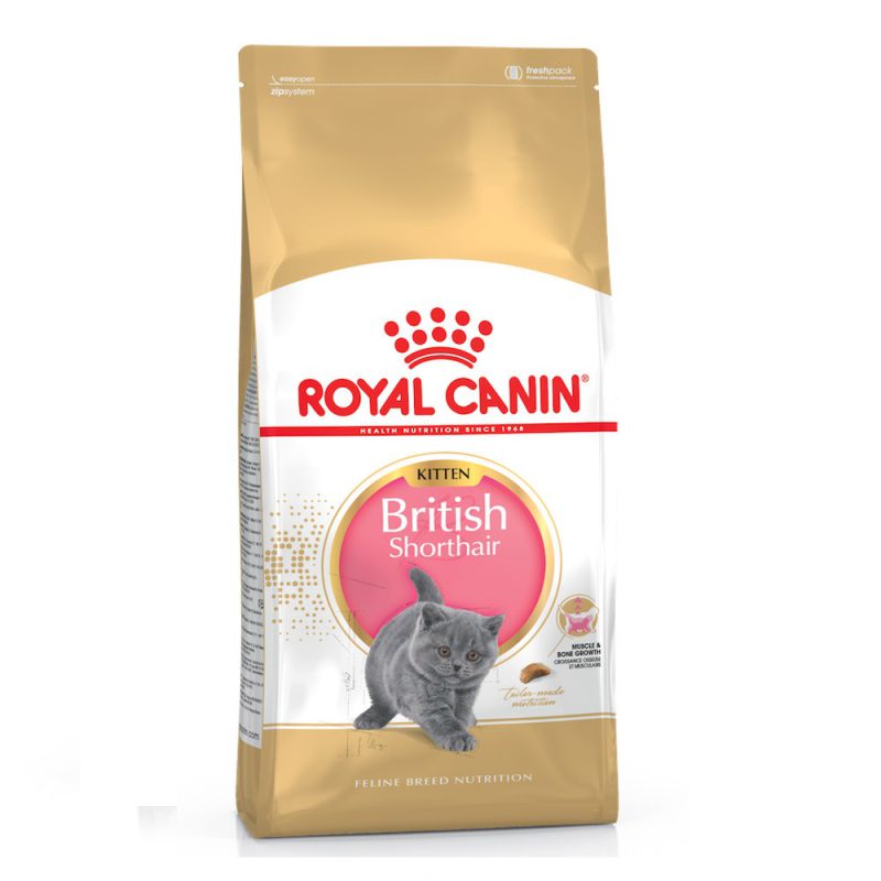 Royal Canin British Shorthair Kitten 4 кг сухой корм для британских короткошерстных котят Royal Canin British Shorthair Kitten 4 кг сухой корм для британских короткошерстных котят