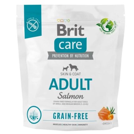 5557063691 brit care dog.jpg