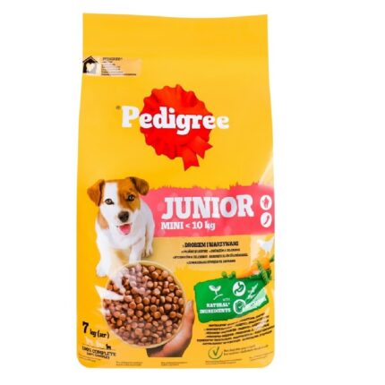 junior pedigree.jpg