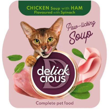 6426236666 delickcious delishes soup.jpg